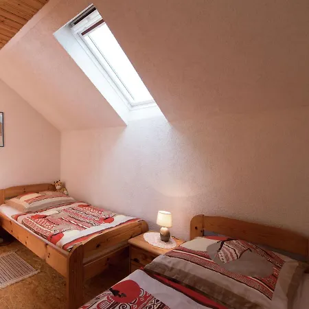 Apartment Modern Apartment Inp Hla Saxony Near Ski Area Pohla