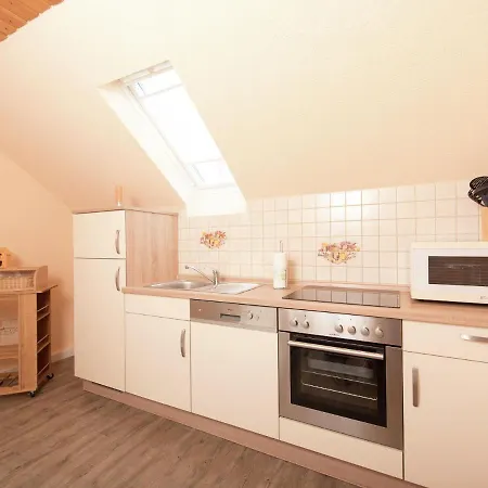 Modern Apartment Inp Hla Saxony Near Ski Area Apartment *