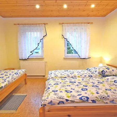 Modern Apartment Inp Hla Saxony Near Ski Area * Pohla