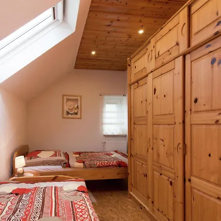 Modern Apartment Inp Hla Saxony Near Ski Area Pohla