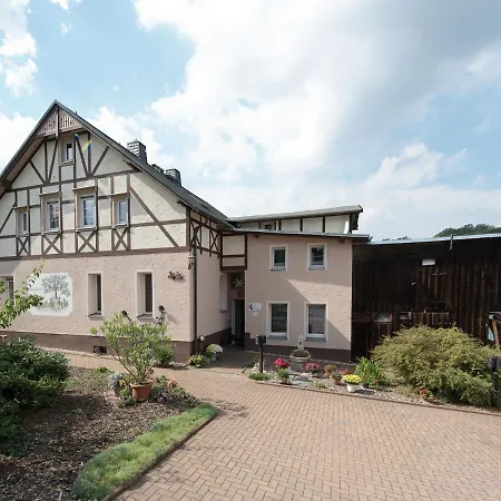 Modern Apartment Inp Hla Saxony Near Ski Area Pohla