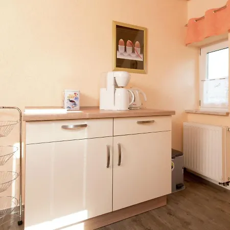 Modern Apartment Inp Hla Saxony Near Ski Area *